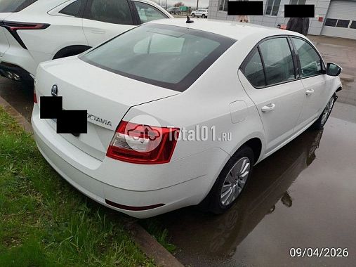 Купить Skoda Octavia
