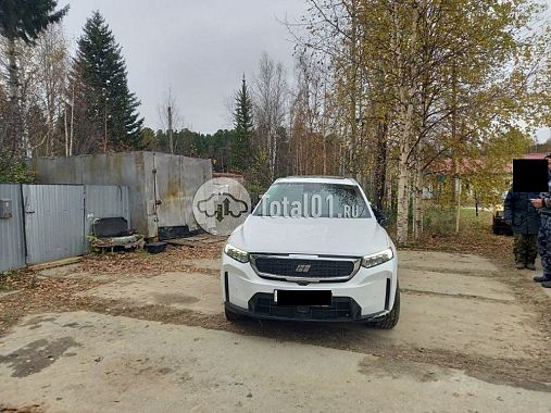 Купить Knewstar G11