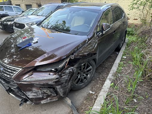 Купить Lexus NX