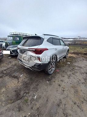 Купить KIA Seltos