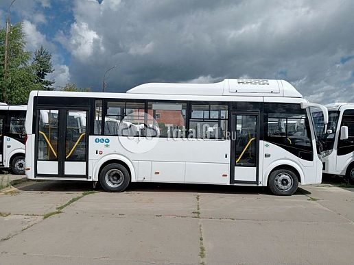 ПАЗ Вектор Next