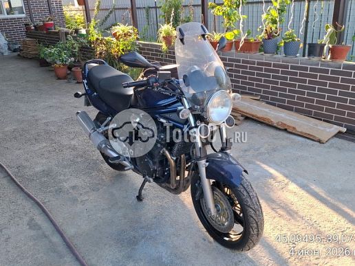 Suzuki Другая